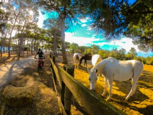 Isola d'Elba in e-bike