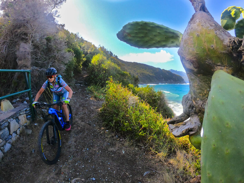 Isola d'Elba in e-bike