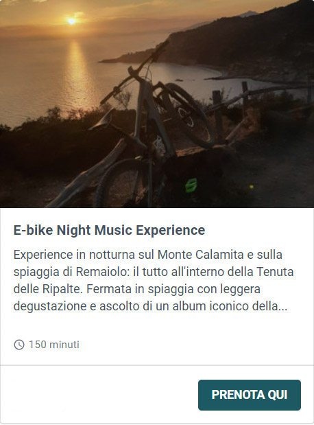 e-bike-night-music-experience