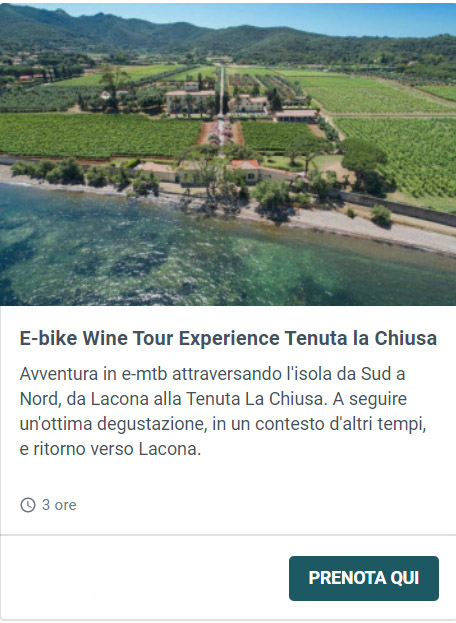 e-bike-wine-tour-experience-tenuta-la-chiusa