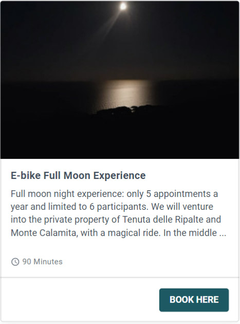 moon experience