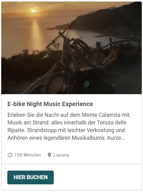 night music experience