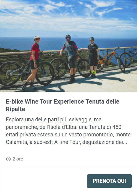 wine-tour-tenuta-delle-ripalte